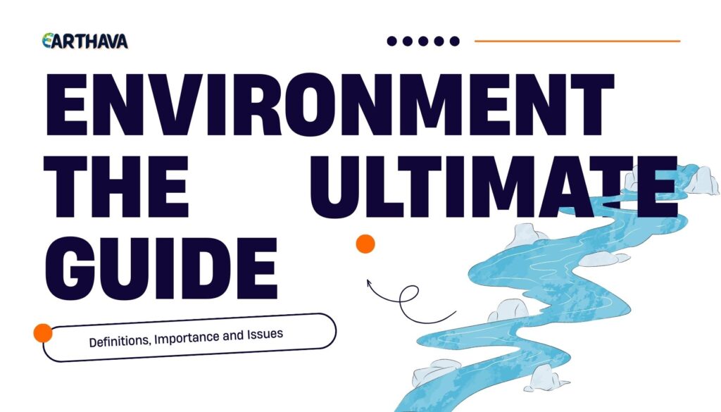 What Does Environment Mean? Definitions, Importance, and Issues