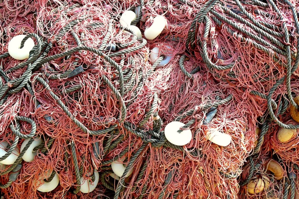 fishing net, web, fishing, dry nets, catch, node, multicoloured, seafaring, maritime, boat accessories, port, accessories, ship accessories, detail shot, fish trade, overfishing, ropes, close up, knotted, line, overfishing, overfishing, overfishing, overfishing, overfishing