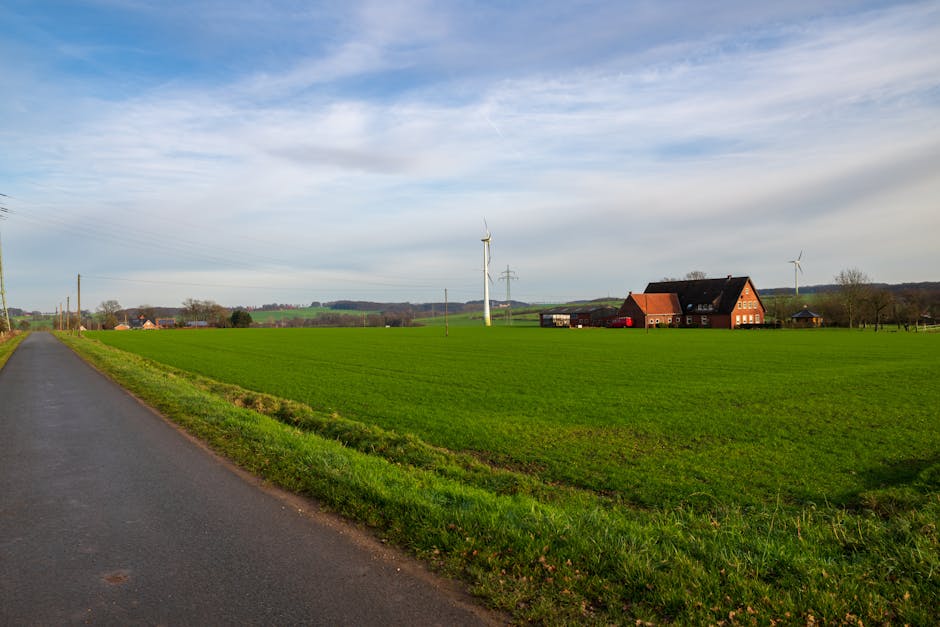 A picturesque view of a countryside farmhouse with wind turbines on a sunny day.