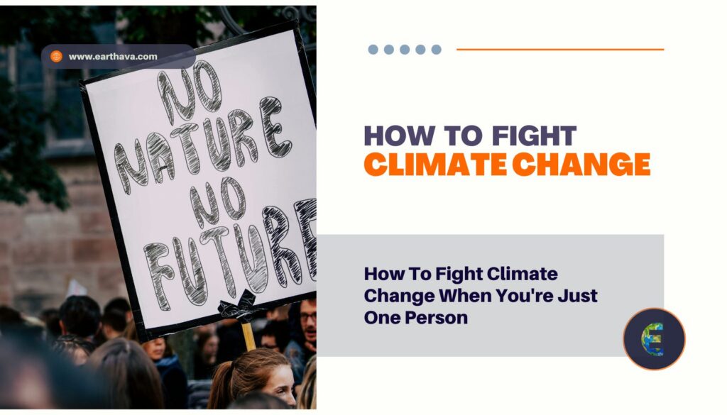 How To Fight Climate Change
